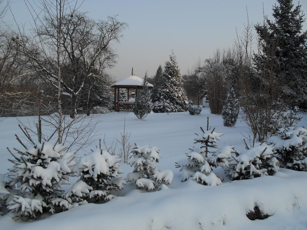 Hoffmann Vendeghaz Apartment Nagyrakos Ruang foto
